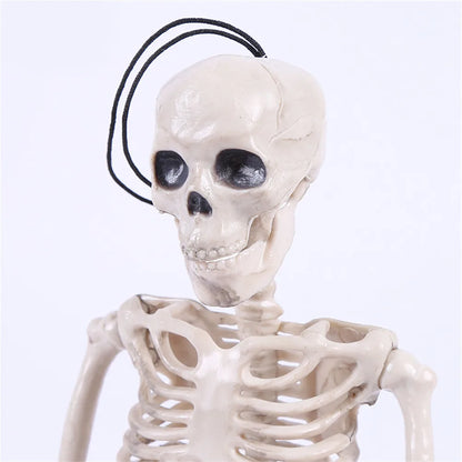 Modelo de Esqueleto humano de 40 cm